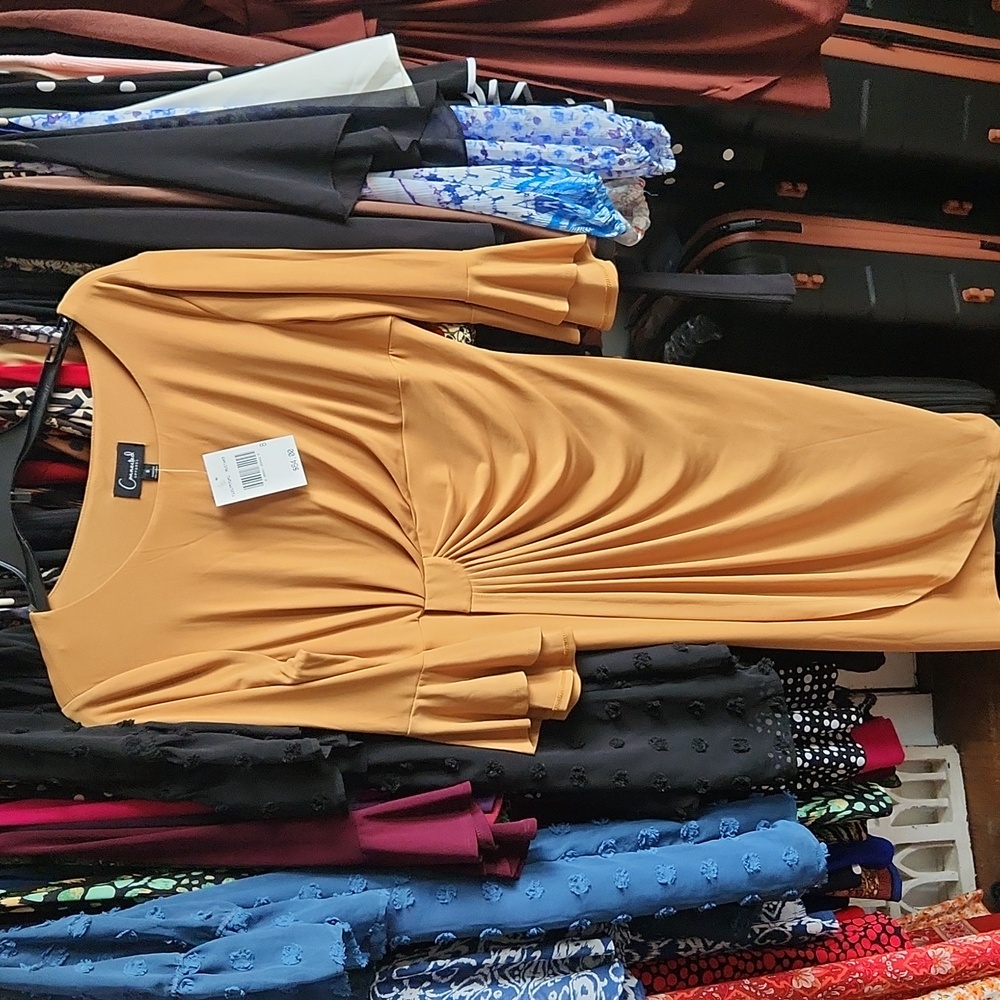 Camel Women's Dress with Ruffle Sleeves